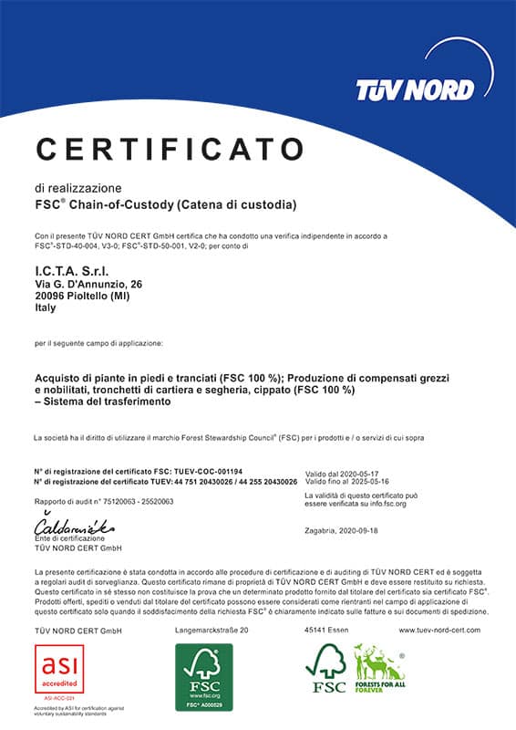 Small Foot 11140 - Scacciapensieri in legno, certificato FSC, 100% a