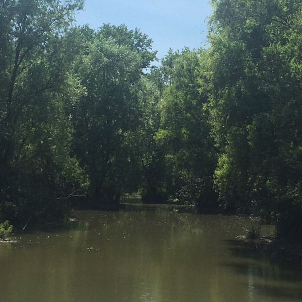 societa-sant-alessandro-produzione